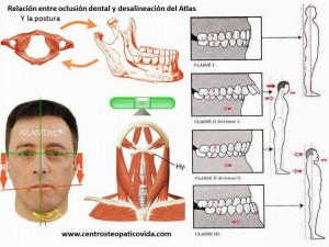 oclusión dental y postura